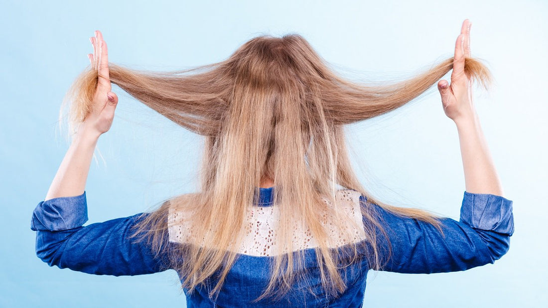 Why Your Hair Feels Dull (And It’s Not Your Shampoo’s Fault)